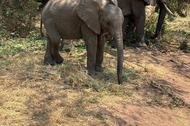 Lago Manyara
