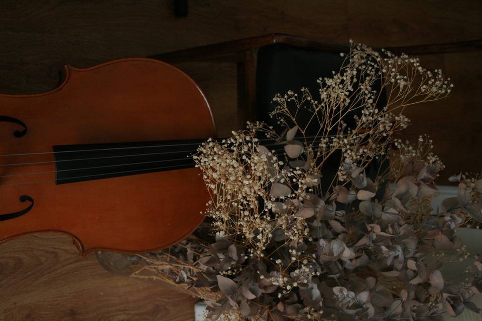 Detalle de instrumento