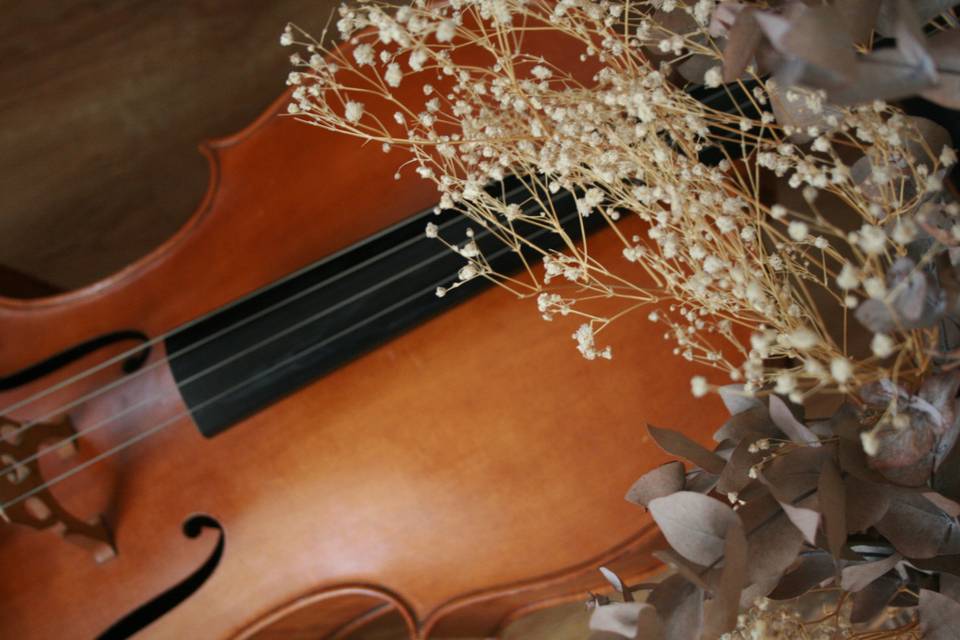 Detalle instrumento