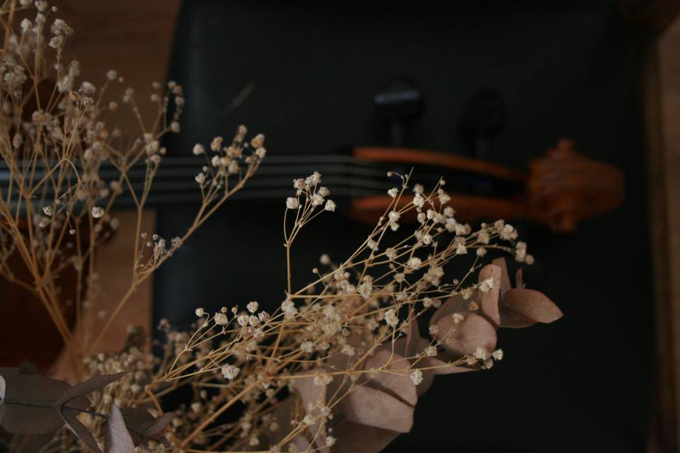 Detalle instrumento