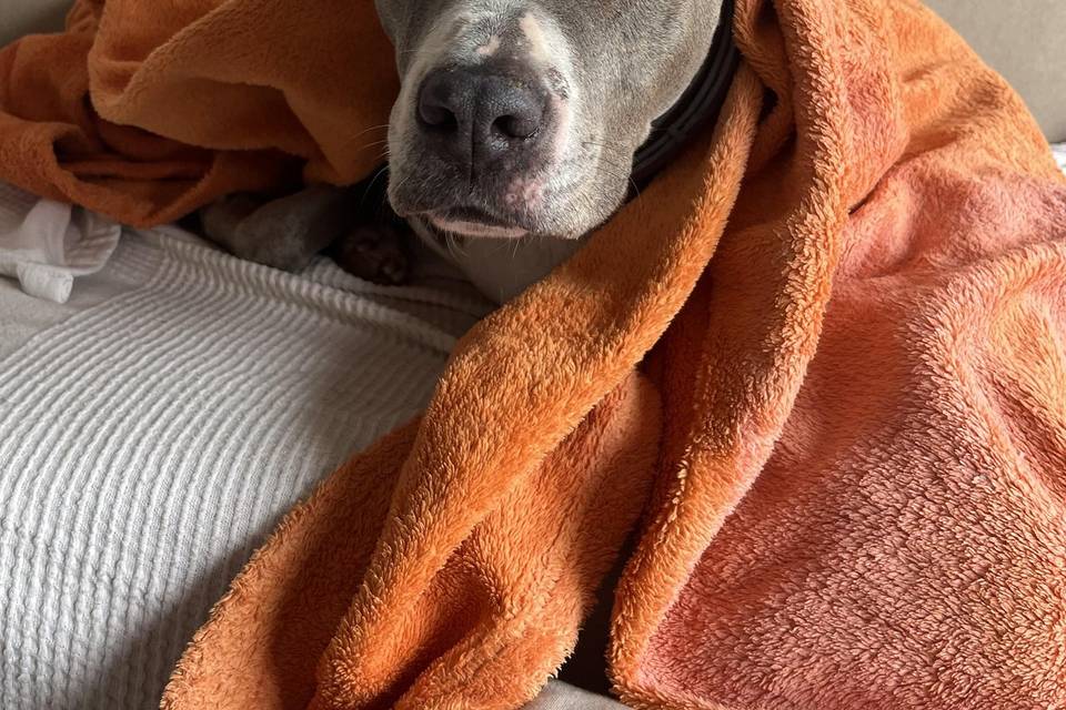 Mia