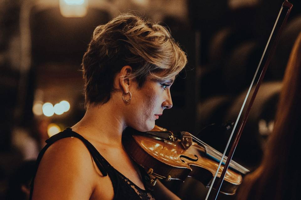 Violin