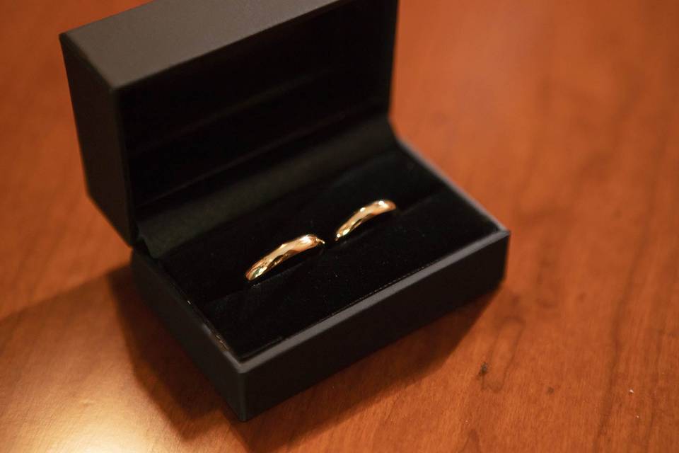 Anillos