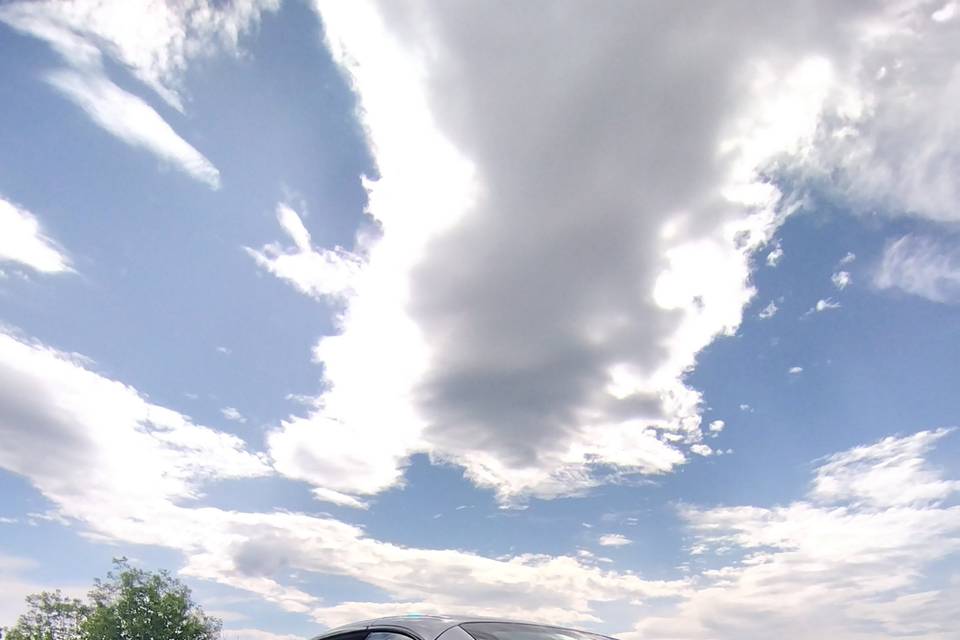 335i cabrio