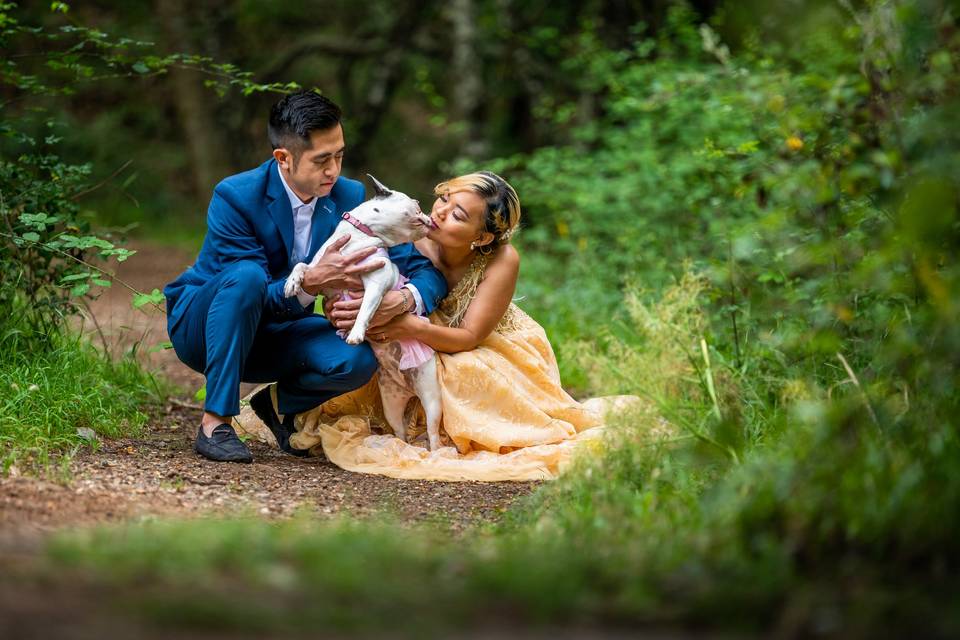 Preboda en el bosque