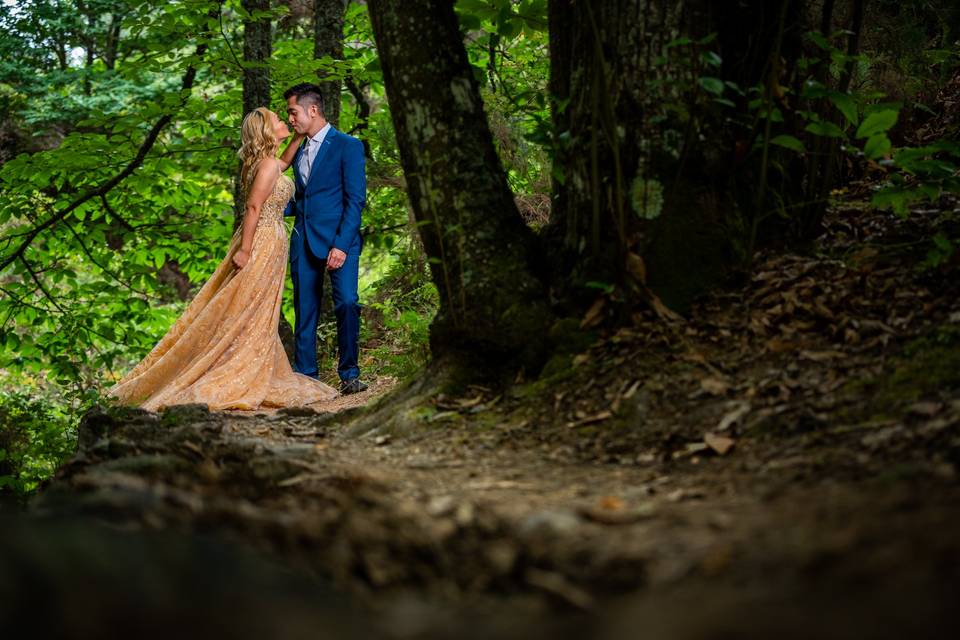 Preboda en el bosque