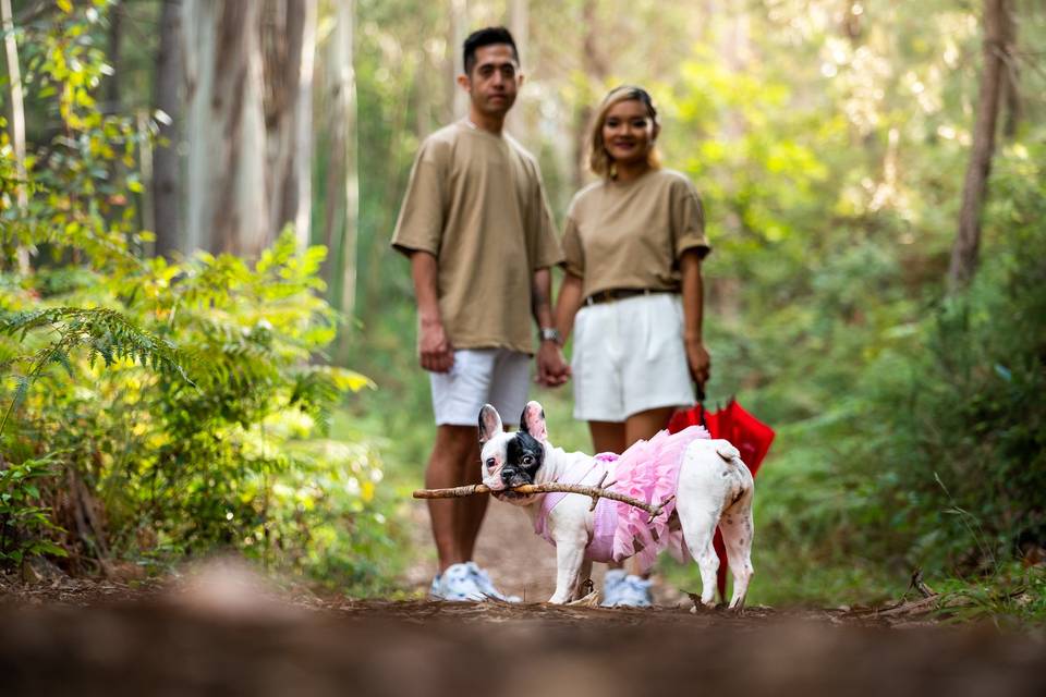 Preboda en el bosque