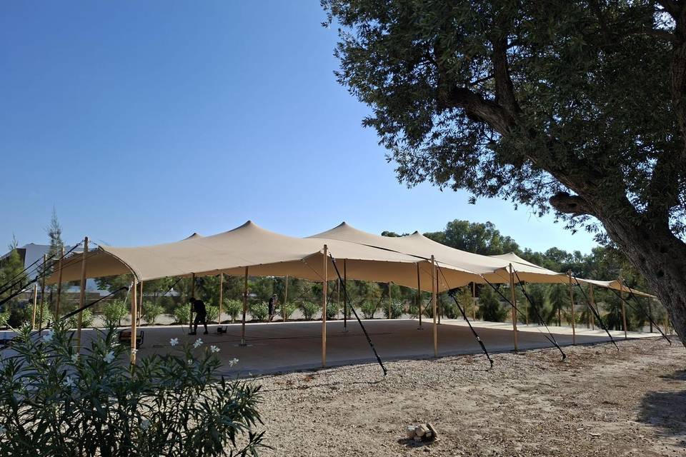 Carpas beduinas