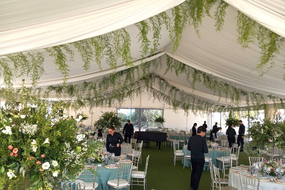 Carpa 15x30