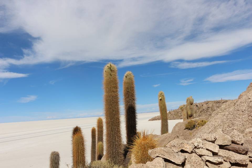 Salar de Uyuni Bolivia