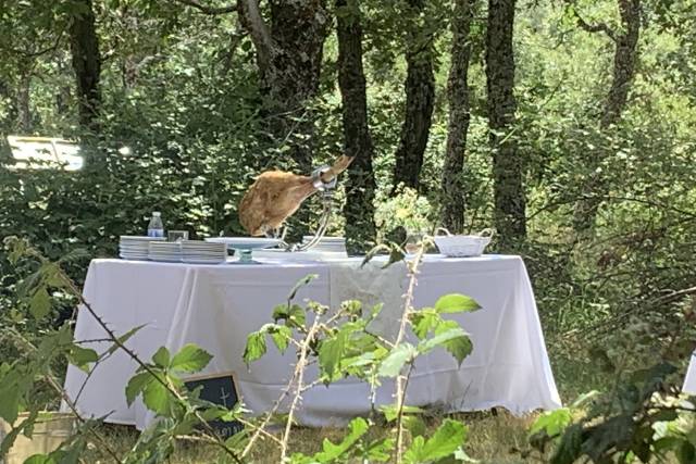 Mesa preparada