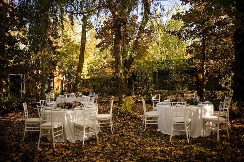 Almuerzo de otoño