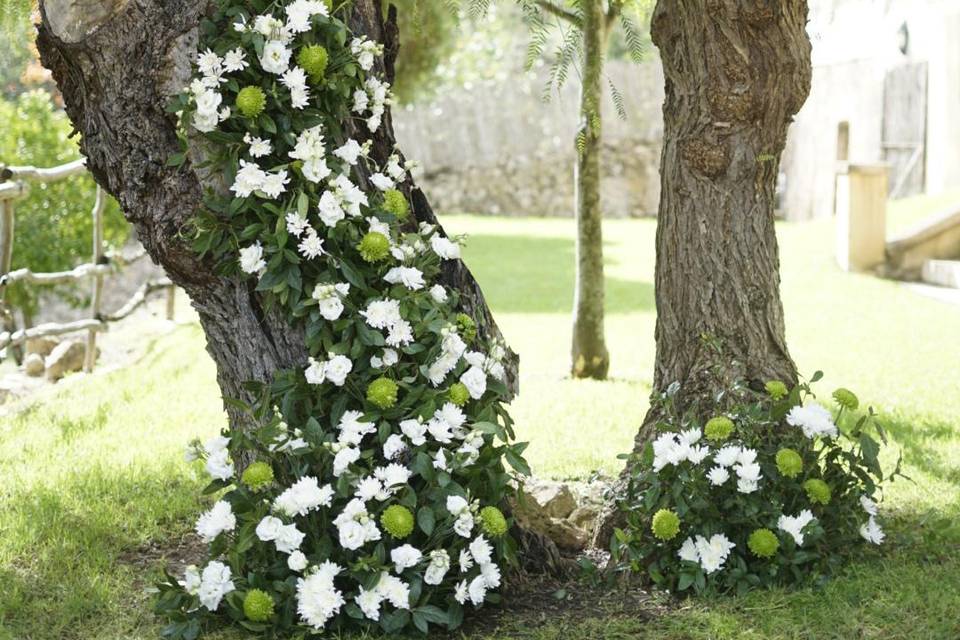 Sabinata deco
