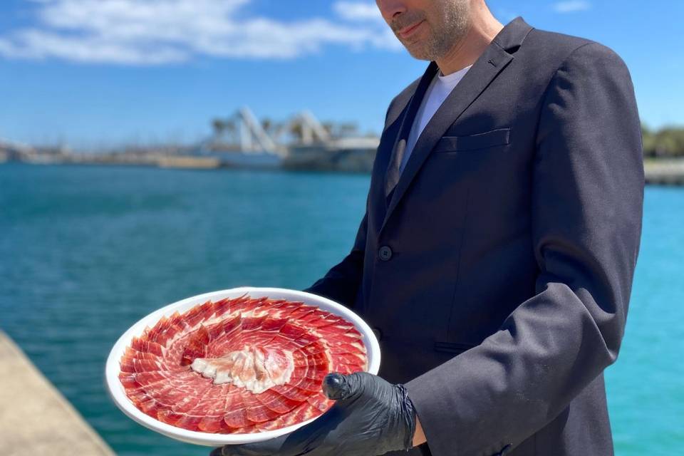 Plato presentación