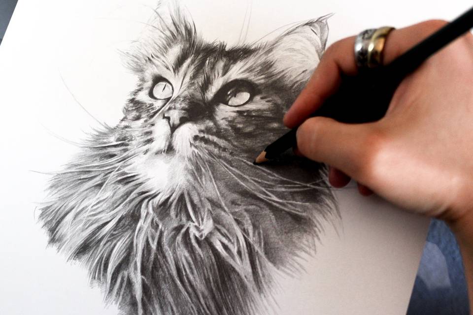 Detalle