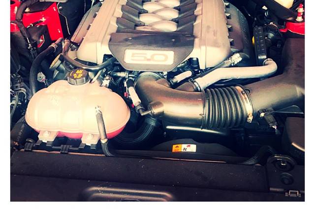 Motor