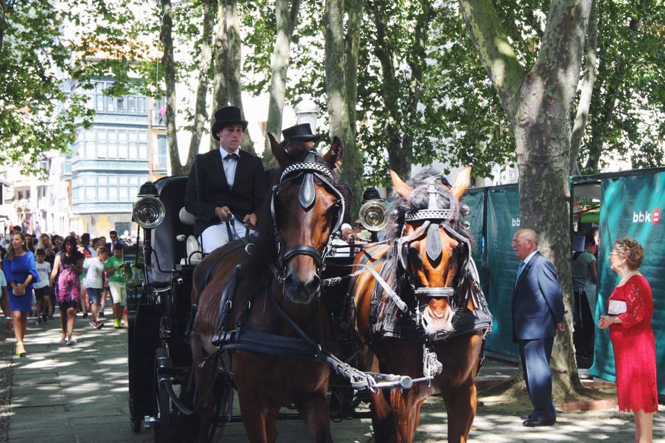 Coche de caballos