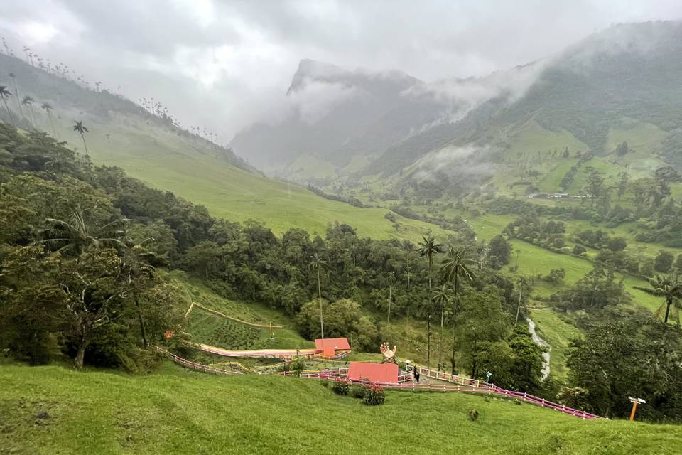Cocora