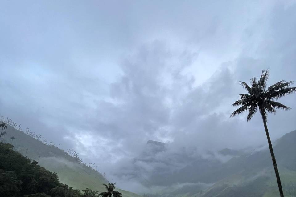 Cocora