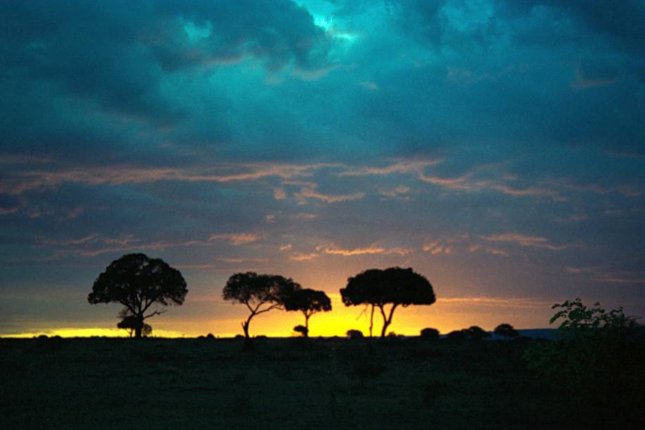 Masai mara sunset