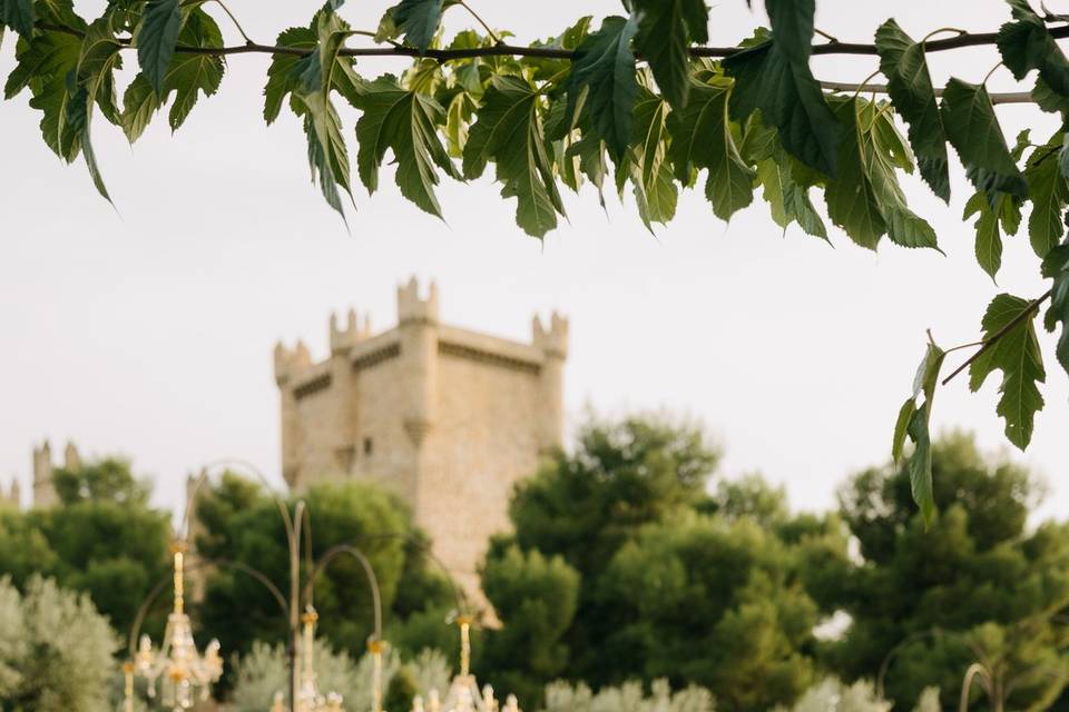 Castillo de Guadamur by Akera