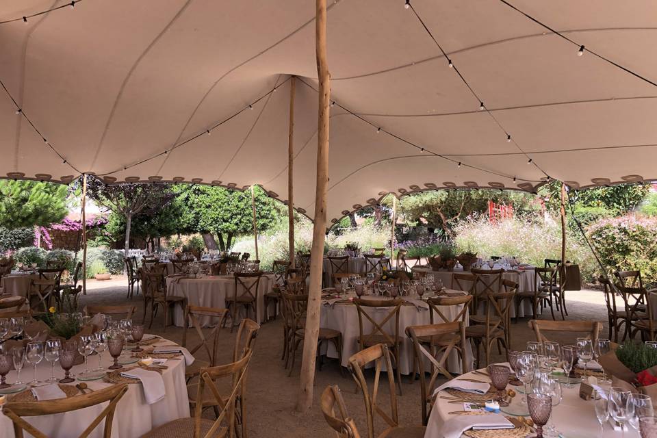 Banquete en carpa