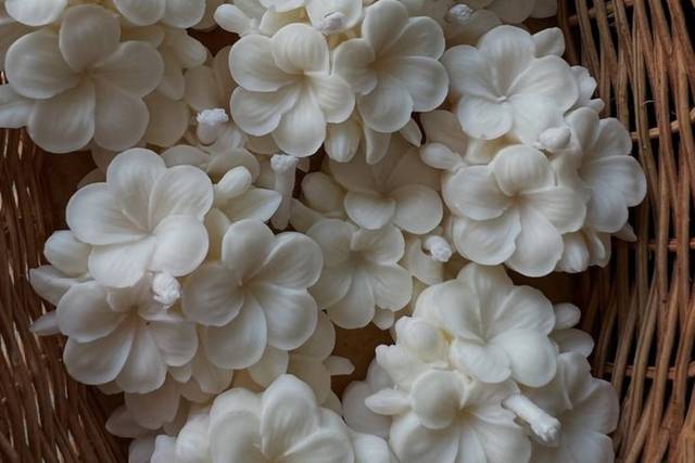 Flores - a elegir color