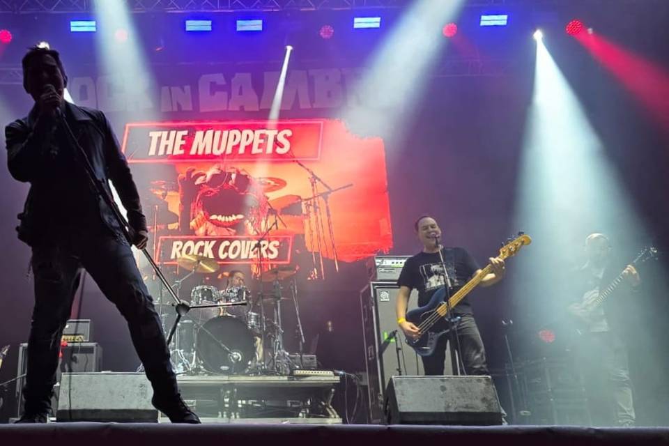 The Muppets Rock Covers