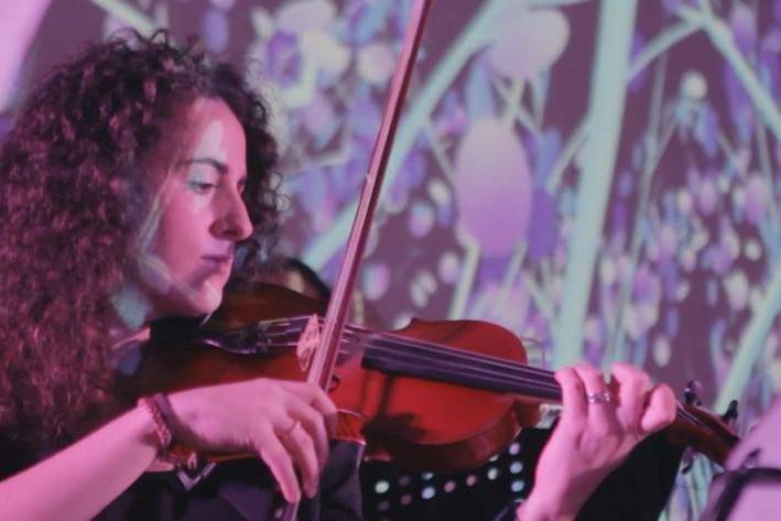 Violinista