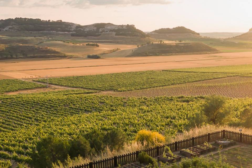 Paisaje