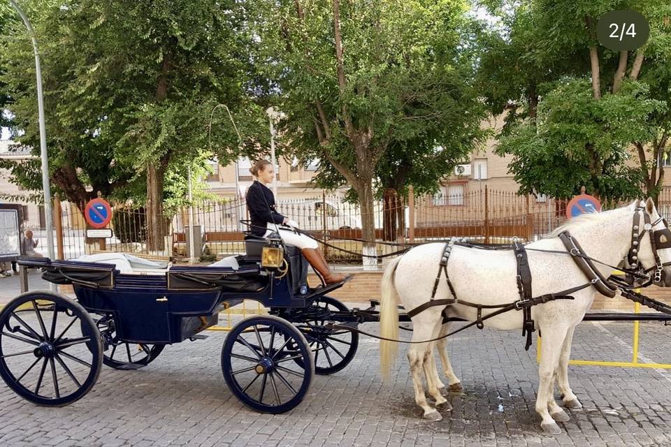 Carruaje de boda