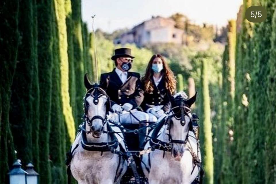 Carruaje de boda