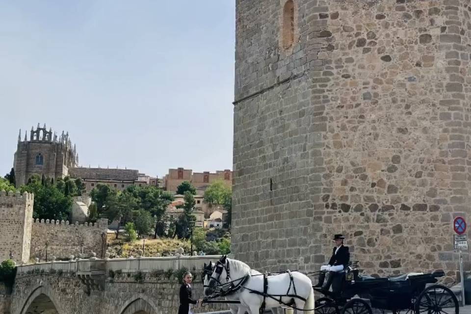Carruaje de boda