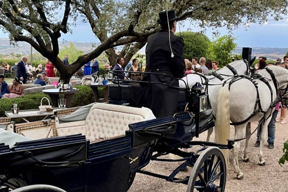Carruaje de boda