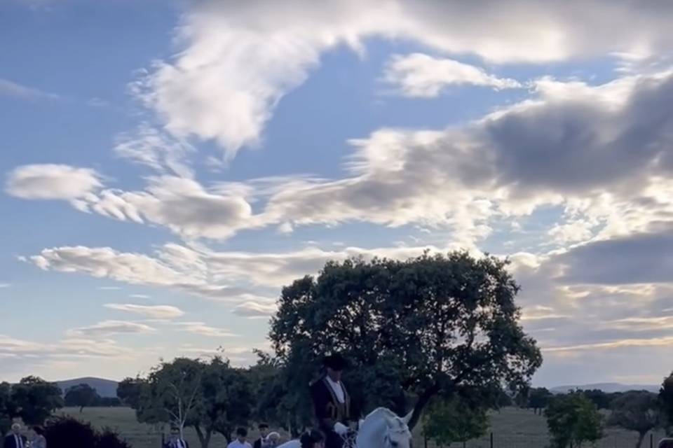 Espectáculo a caballo