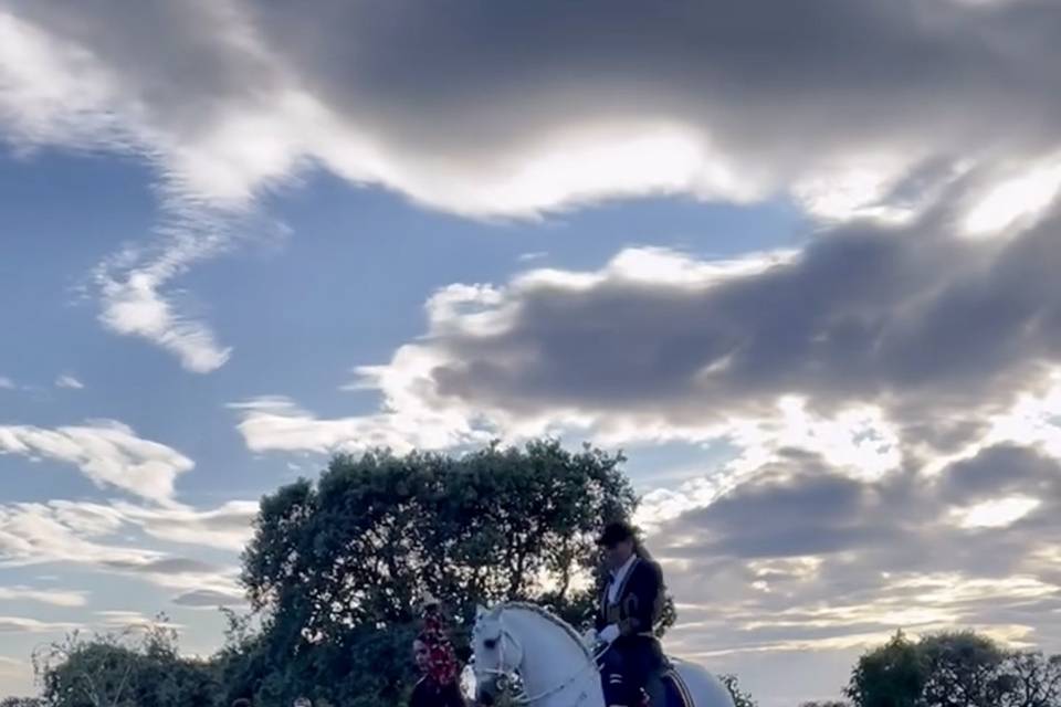 Espectáculo a caballo