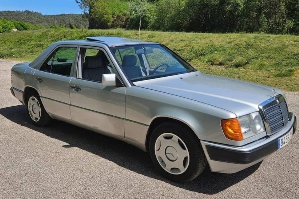 Elegante