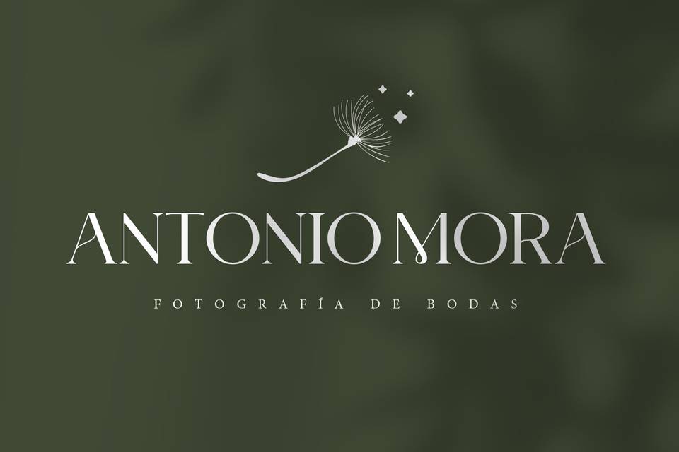 Antonio Mora Fotografía