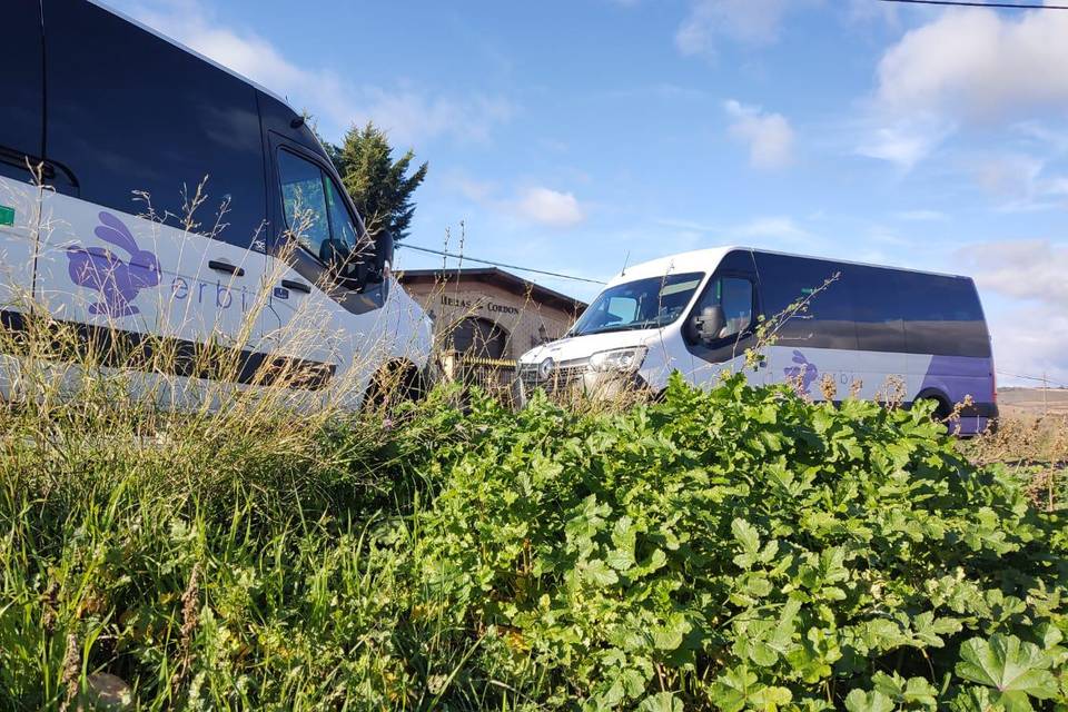 Autobuses a la espera