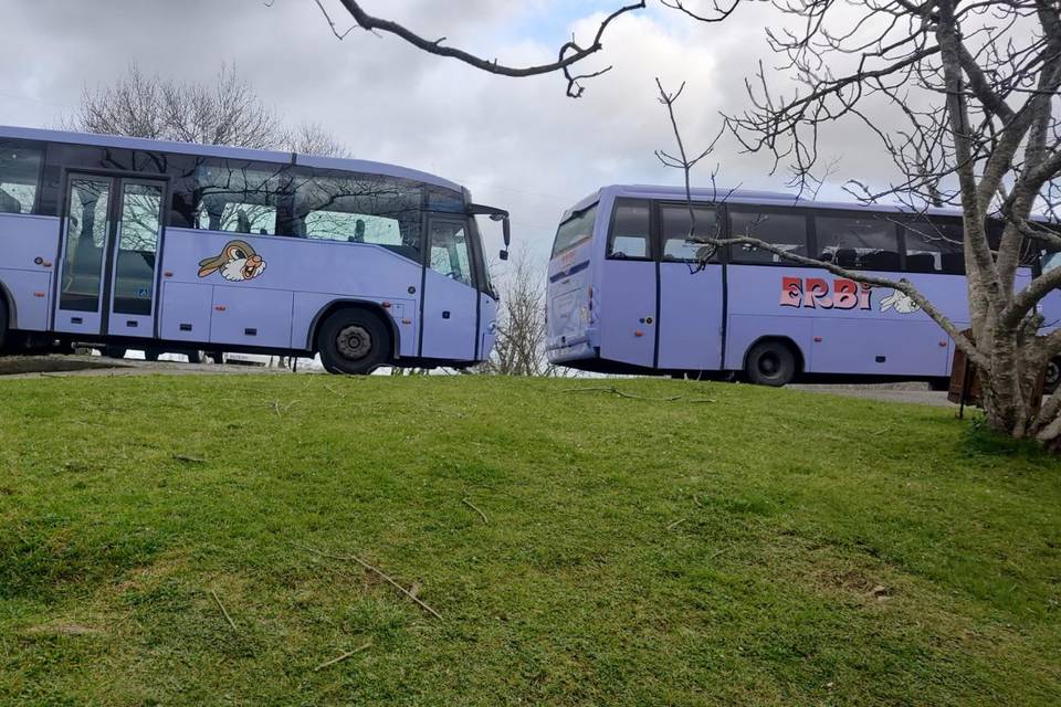 Autobuses a la espera