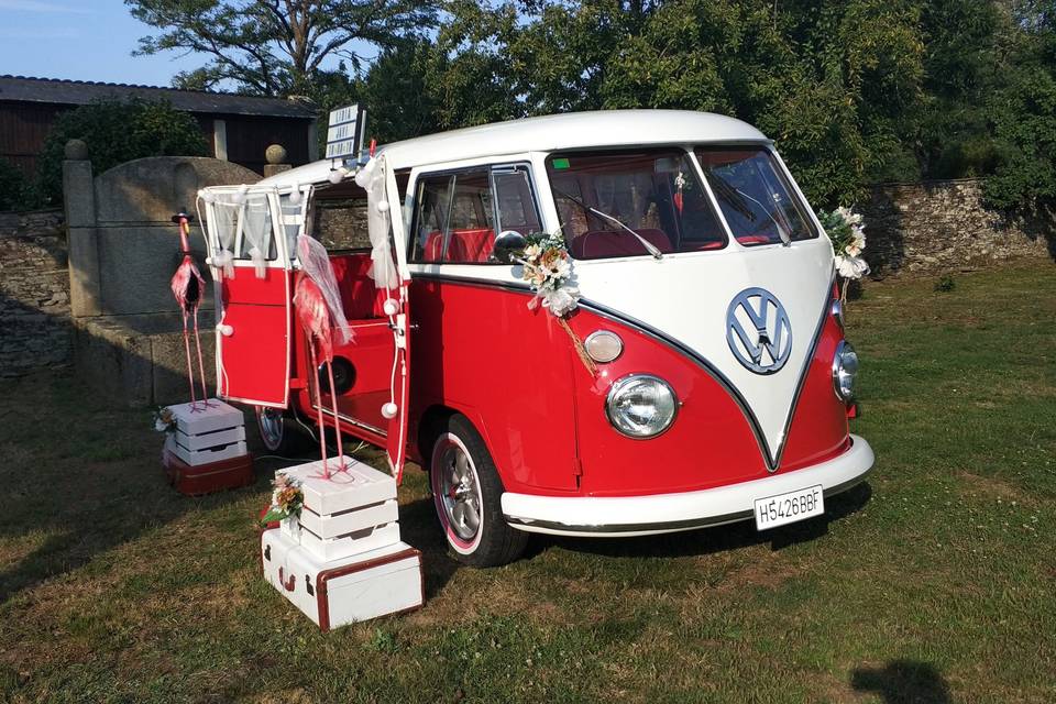 Frank - Volkswagen T1