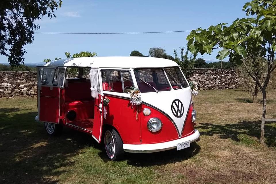 Frank - Volkswagen T1