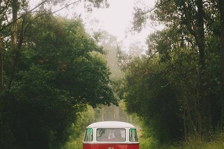 Frank - Volkswagen T1