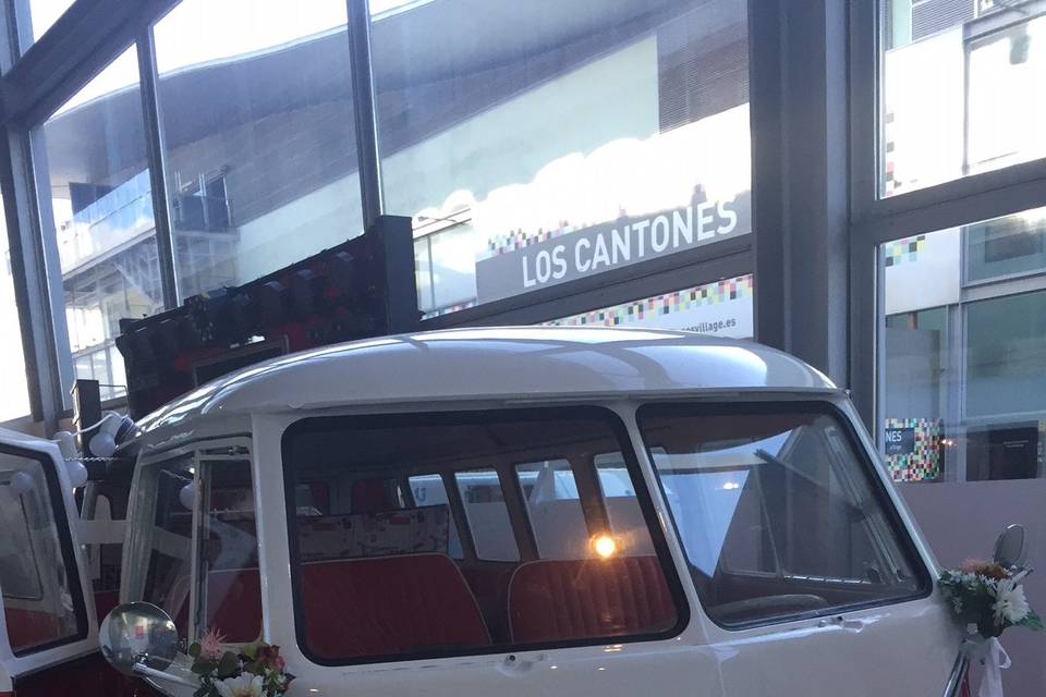 Frank - Volkswagen T1