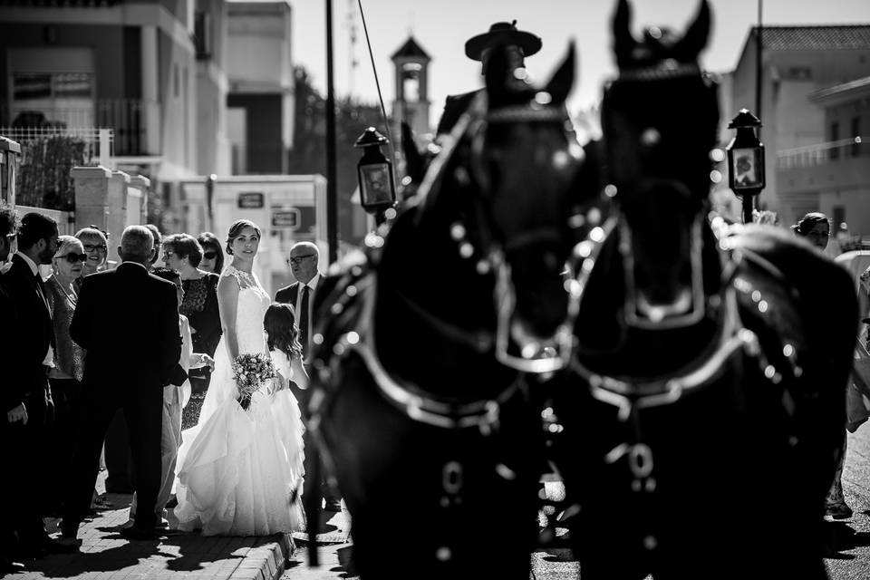 Postboda