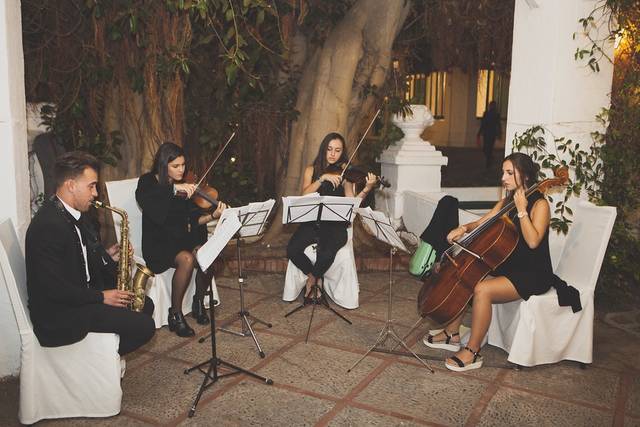 Colaboraciones en cócteles