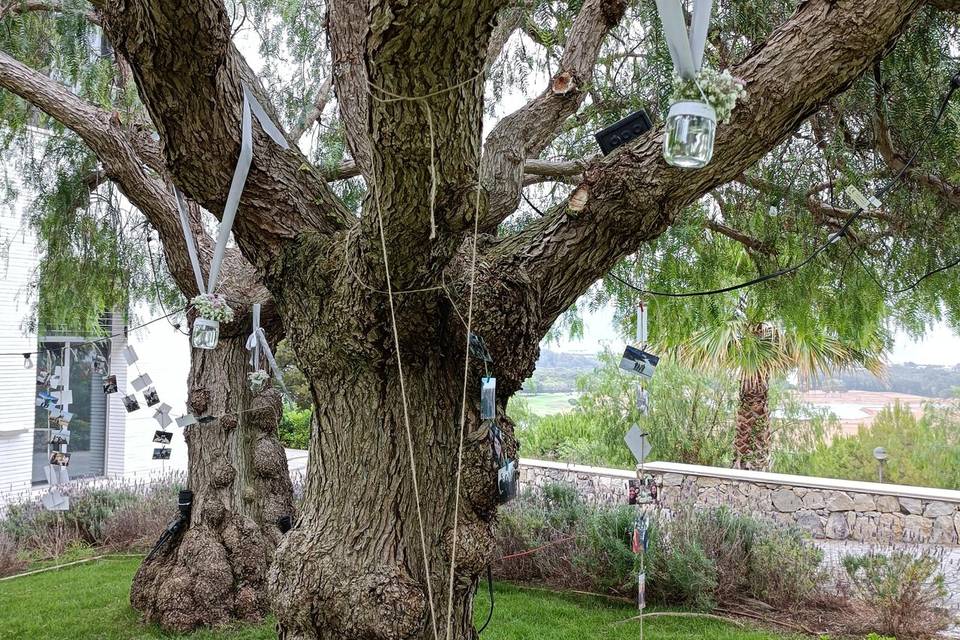 Detalle decoración árbol