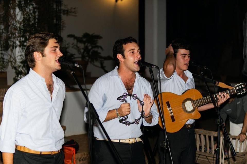 Fiesta Pia