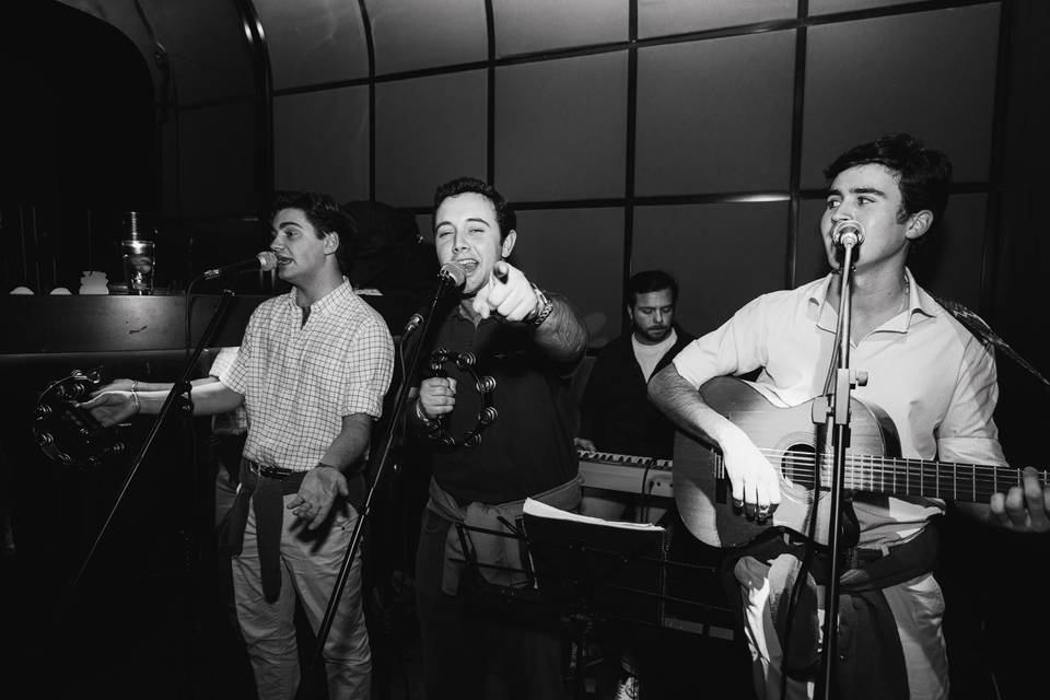 Farejos Grupo