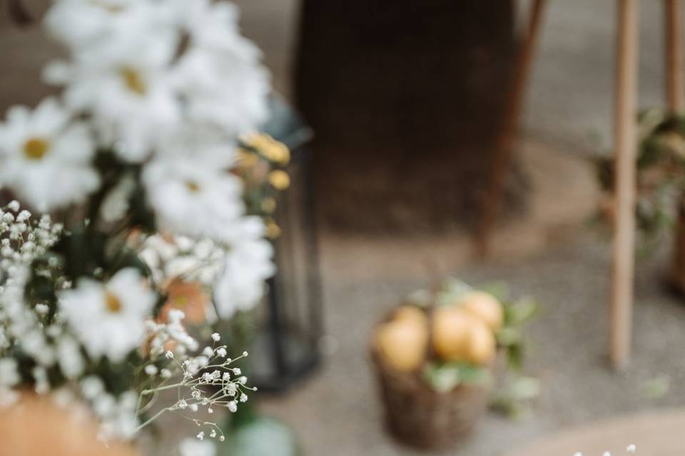 Detalles